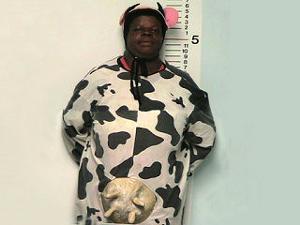 Mad cow jailed