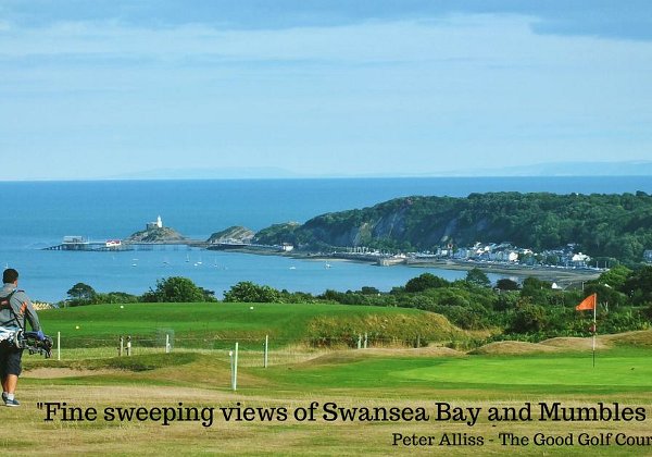 Swansea Narpo Golf Day 31st May 2019